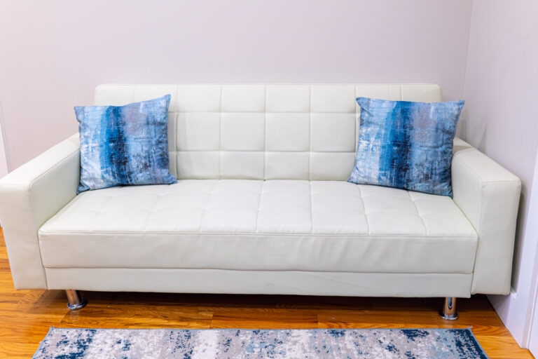 White sofa with blue patterned throw pillows in a modern living room, Ocean Hill, Brooklyn, NYC. Hardwood floors and abstract rug add style to the cozy space.
